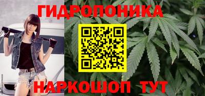 каннабис Гатчина