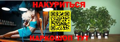 каннабис Гатчина
